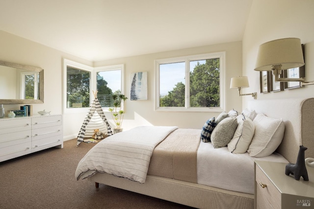 656 Goodhill Rd, Kentfield, CA 94904 - bedroom featuring dark carpet and multiple windows