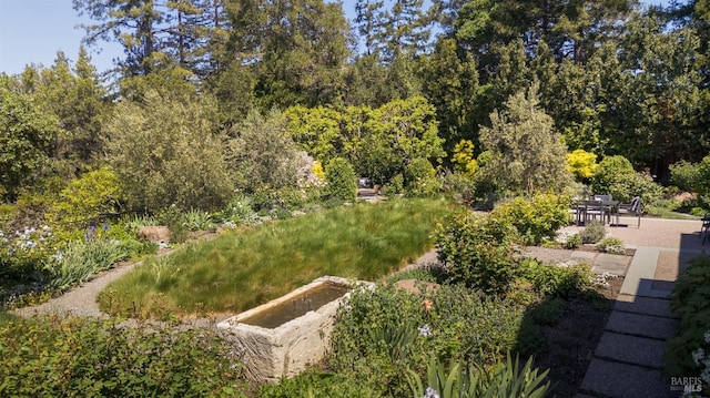 656 Goodhill Rd, Kentfield, CA 94904 - view of property's community featuring a patio area