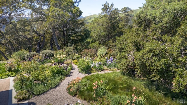 656 Goodhill Rd, Kentfield, CA 94904 - view of home's community featuring a forest view