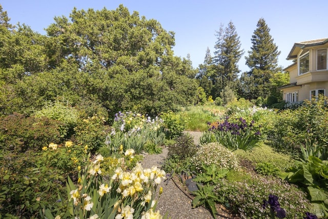 656 Goodhill Rd, Kentfield, CA 94904 - view of nature