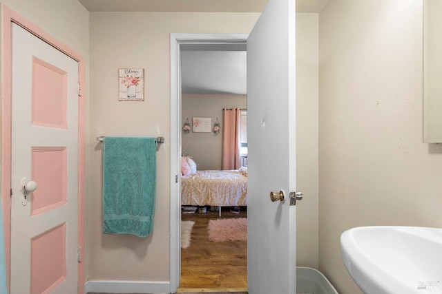 bathroom featuring wood finished floors and a sink