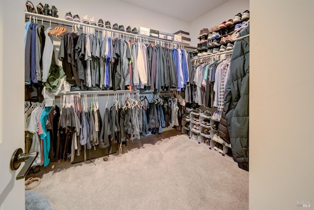 spacious closet with carpet