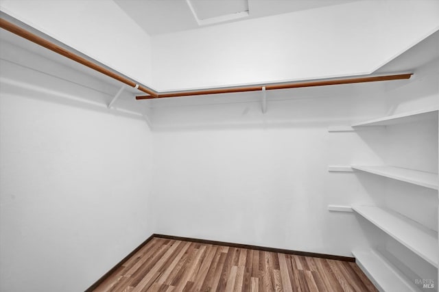 walk in closet featuring attic access and wood finished floors