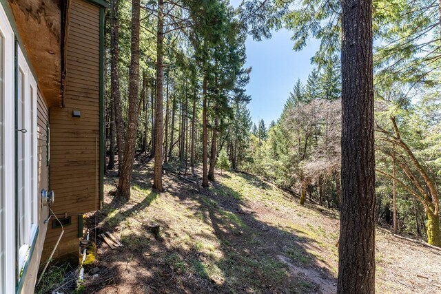 28900 Timberline Rd, Willits, CA 95490 - view of yard featuring a view of trees
