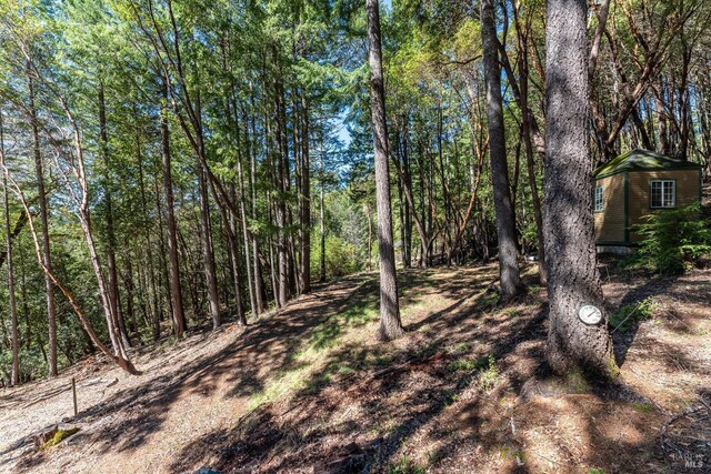 28900 Timberline Rd, Willits, CA 95490 - view of landscape with a view of trees