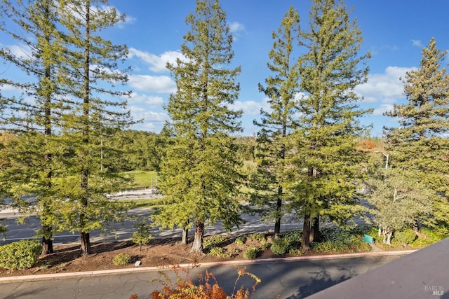 view of surrounding community