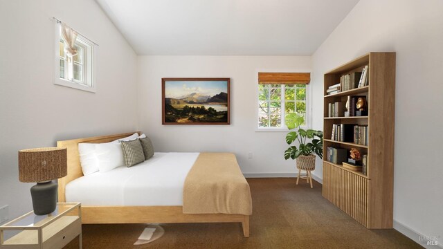 3880 Doris Murphy Ct, Occidental, CA 95465 - bedroom featuring carpet and baseboards