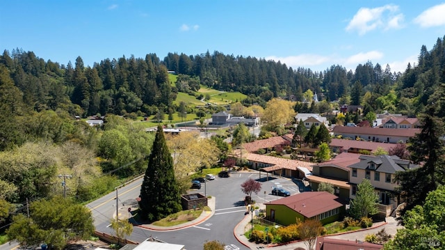 3880 Doris Murphy Ct, Occidental, CA 95465 - aerial view of a heavily wooded area