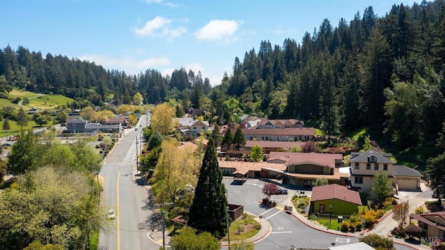 3880 Doris Murphy Ct, Occidental, CA 95465 - aerial perspective of suburban area with a forest