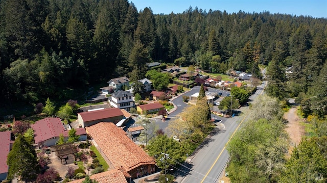 3880 Doris Murphy Ct, Occidental, CA 95465 - aerial view of property's location with a forest