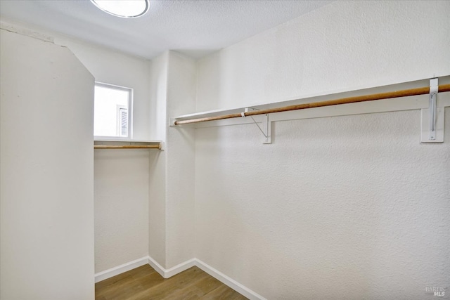 walk in closet featuring wood finished floors