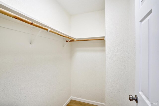 spacious closet featuring wood finished floors