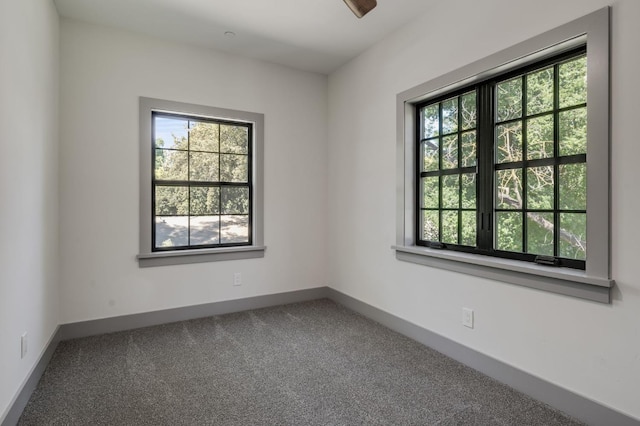 spare room with baseboards, carpet floors, and plenty of natural light