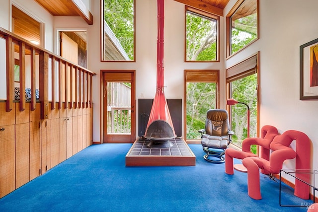 2 Pine Flat Rd, Cazadero, CA 95421 - carpeted living room with a towering ceiling and a wood stove