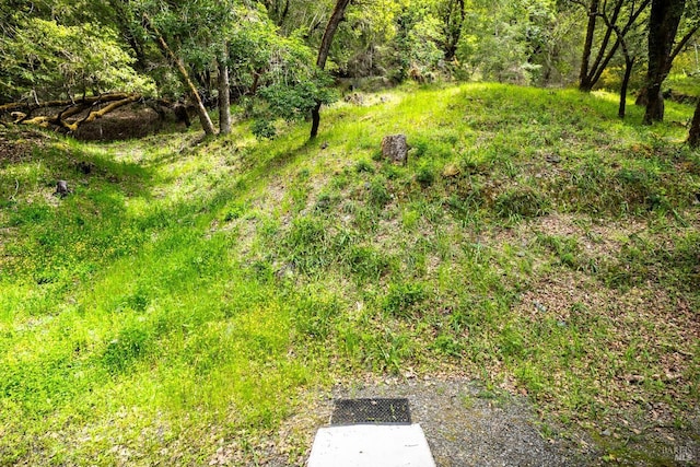 2 Pine Flat Rd, Cazadero, CA 95421 - view of yard