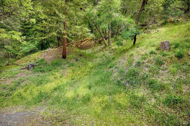 2 Pine Flat Rd, Cazadero, CA 95421 - view of landscape