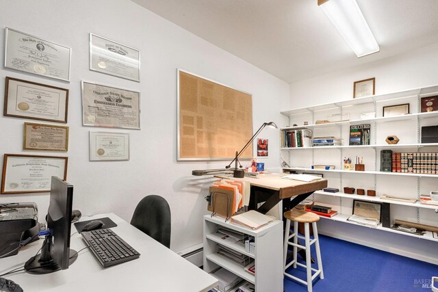 2 Pine Flat Rd, Cazadero, CA 95421 - view of office