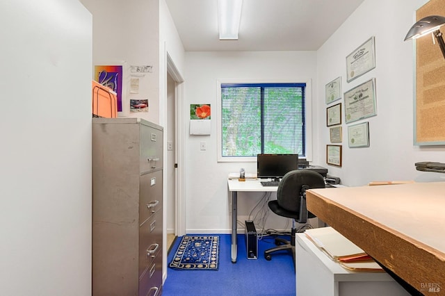 2 Pine Flat Rd, Cazadero, CA 95421 - home office featuring baseboards