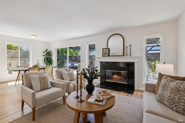 living area featuring a fireplace and wood finished floors