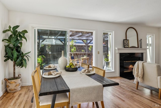 dining area featuring a premium fireplace and wood finished floors