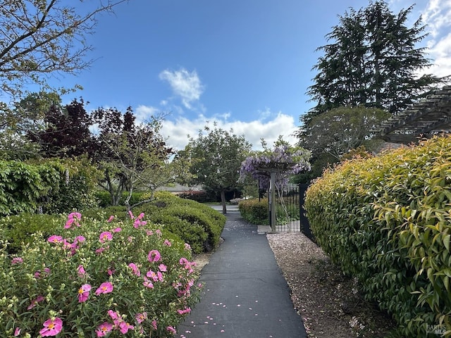 view of property's community