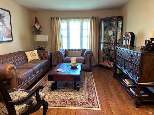 living room with dark wood-type flooring