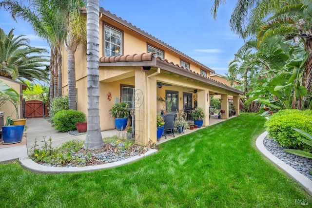 back of house featuring stucco siding, a gate, a patio, a ceiling fan, and a lawn