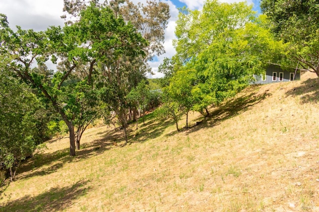 8 Shon Ct, Novato, CA 94947 - view of yard