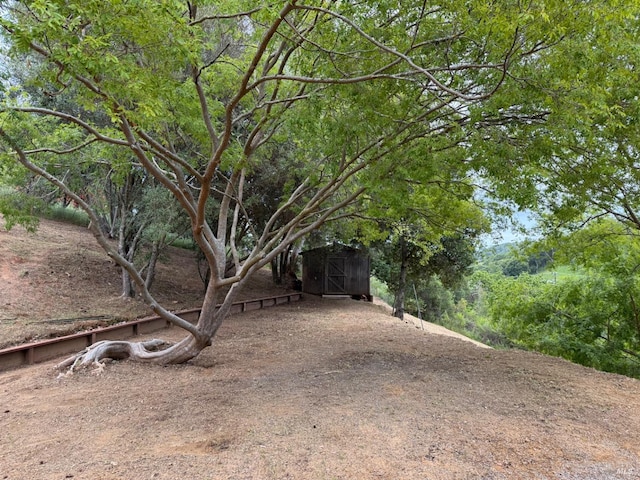 8 Shon Ct, Novato, CA 94947 - view of yard with an outdoor structure