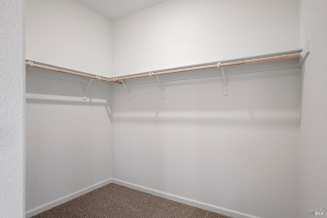 walk in closet with carpet