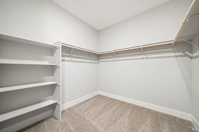 walk in closet featuring carpet