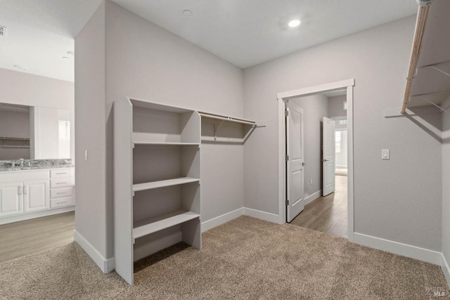 spacious closet with light carpet and a sink
