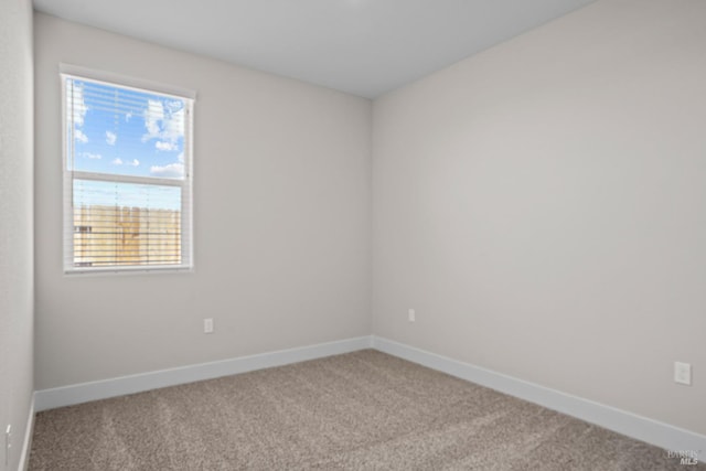 spare room with baseboards and carpet flooring