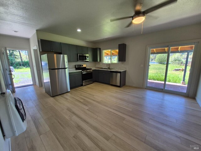 kitchen featuring stainless steel appliances, light wood-style flooring, a sink, and plenty of natural light