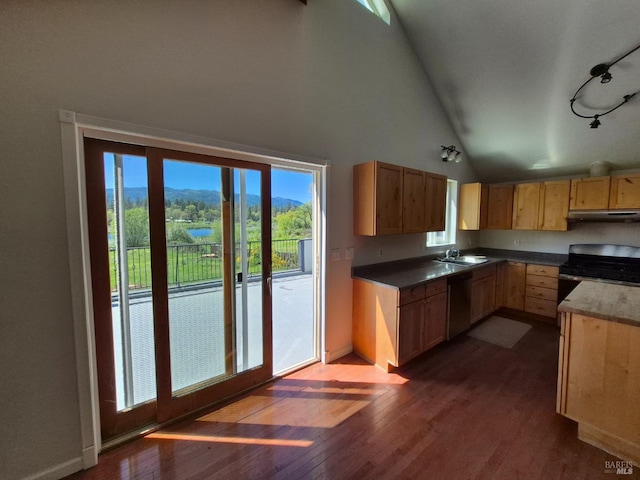 kitchen with dark wood-style floors, a sink, baseboards, under cabinet range hood, and appliances with stainless steel finishes