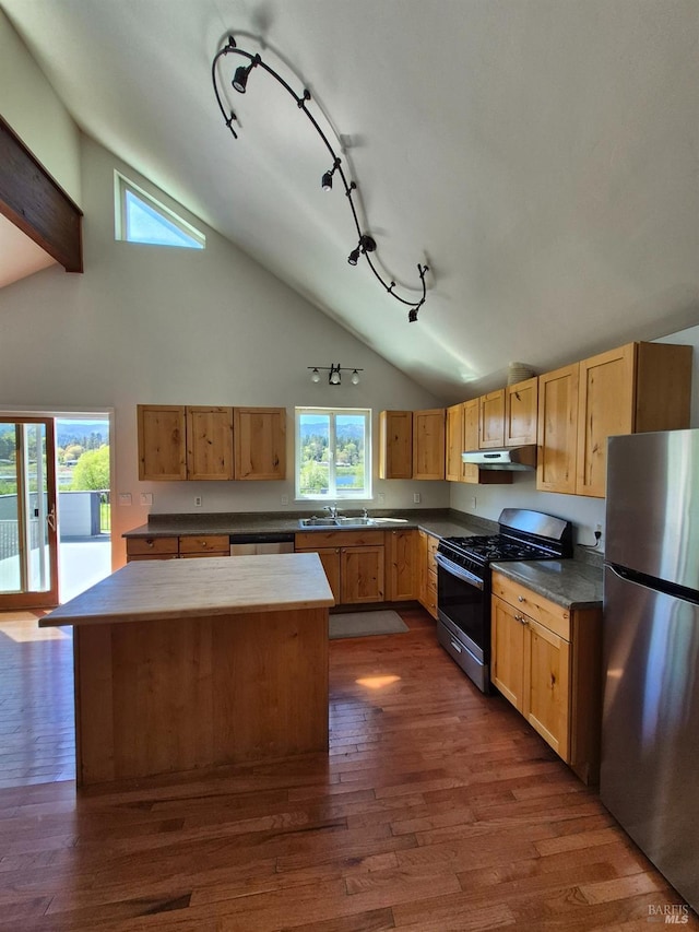 kitchen featuring under cabinet range hood, stainless steel appliances, track lighting, dark wood-type flooring, and a wealth of natural light