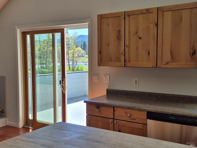 kitchen with brown cabinets, dark countertops, wood finished floors, and stainless steel dishwasher