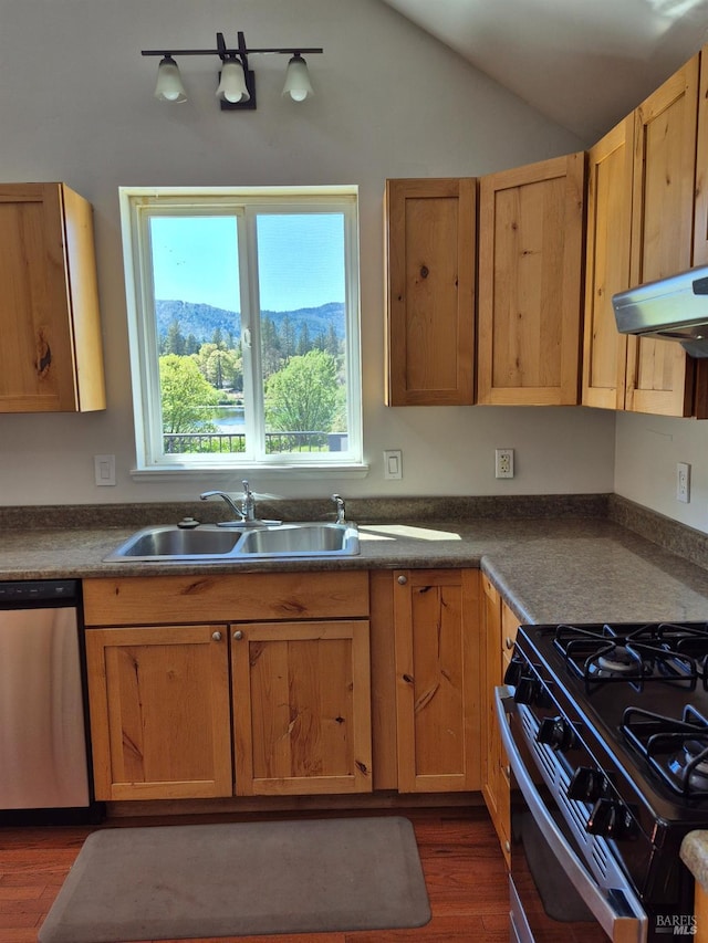 kitchen featuring dark countertops, a sink, dishwasher, under cabinet range hood, and dark wood-type flooring