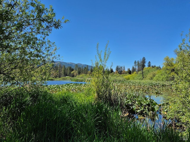 water view with a mountain view