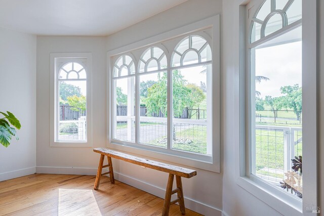 interior space with baseboards, wood finished floors, and plenty of natural light