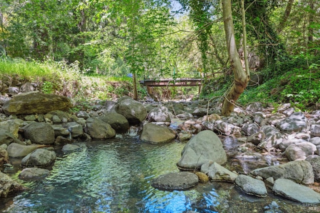 view of nature with a forest view