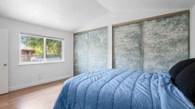 bedroom featuring two closets, lofted ceiling, wood finished floors, and baseboards