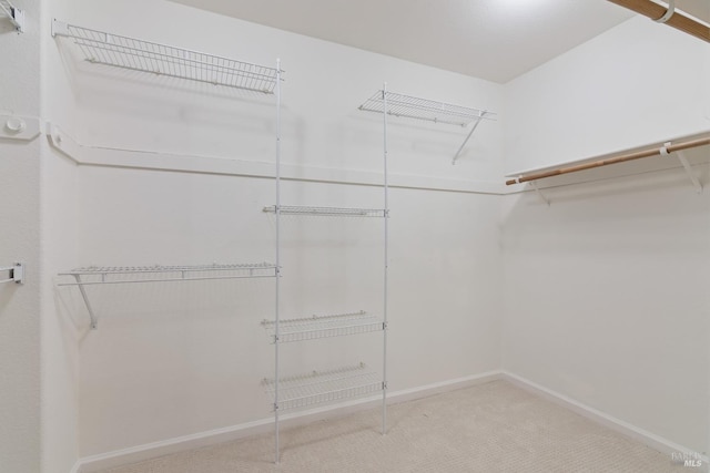 spacious closet featuring carpet floors