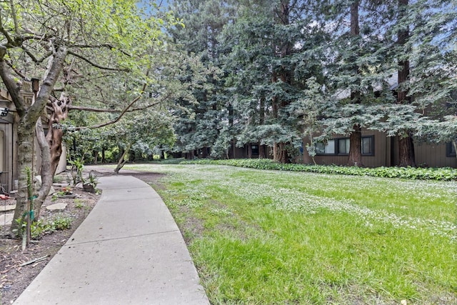 view of yard