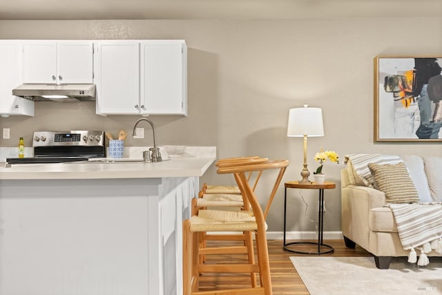 kitchen with under cabinet range hood, wood finished floors, electric stove, a sink, and white cabinetry