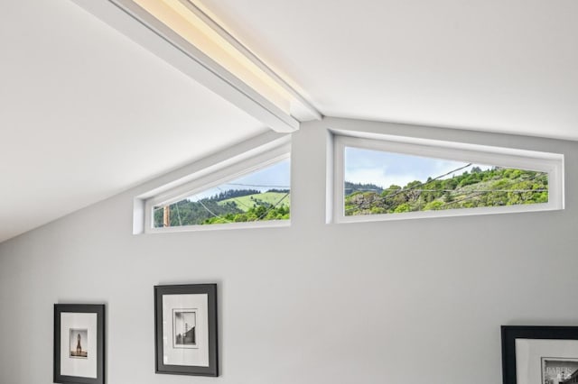 1 Joaquin Patio, Stinson Beach, CA 94970 - interior details with beam ceiling