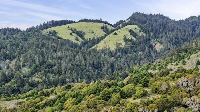 1 Joaquin Patio, Stinson Beach, CA 94970 - property view of mountains featuring a wooded view
