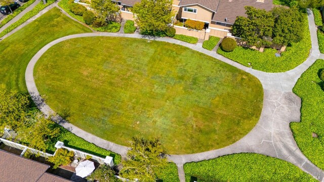 drone / aerial view