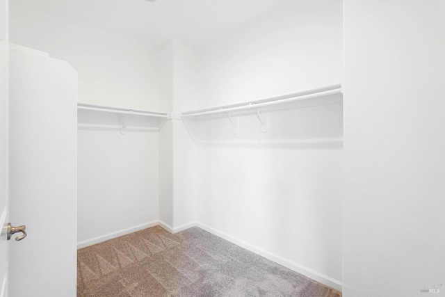 1606 Chamberlain Dr, Fairfield, CA 94533 - walk in closet featuring carpet flooring