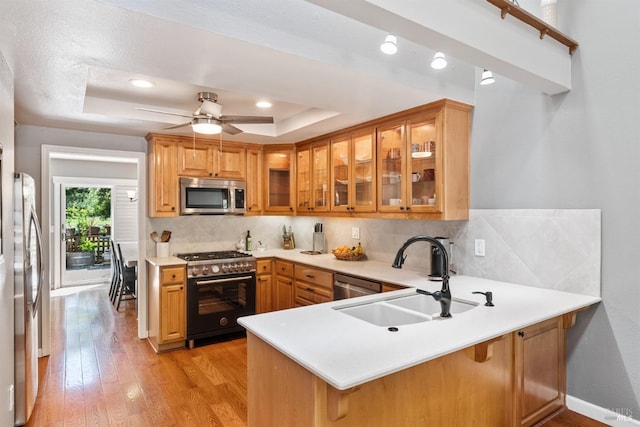 kitchen with light wood finished floors, a sink, a raised ceiling, a peninsula, and appliances with stainless steel finishes
